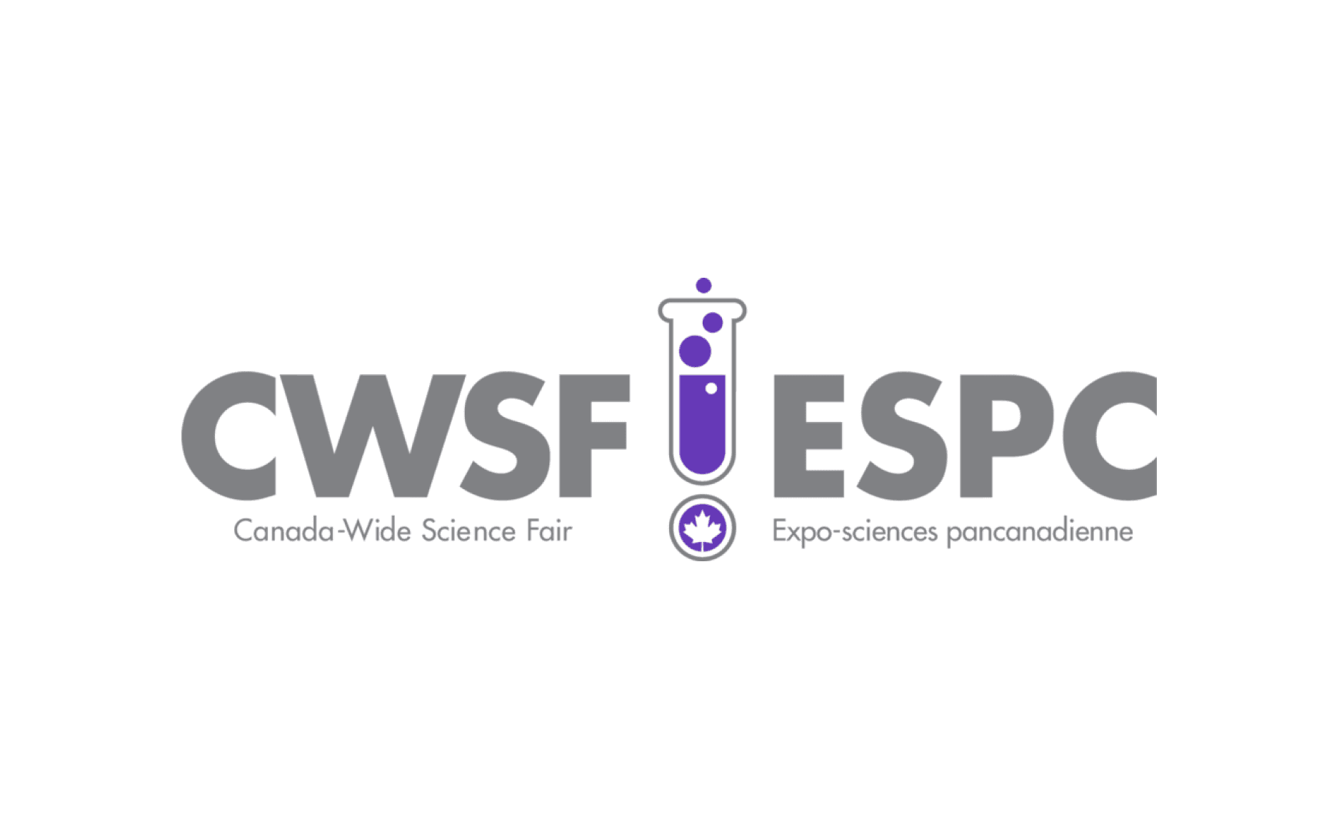 Science Fair Image
